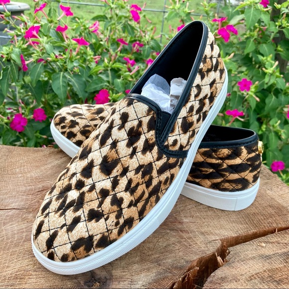 Women’s Sz 6 Leopard Slip-On Sneakers NWOB Steve Madden Shoes Animal Print - Picture 3 of 10